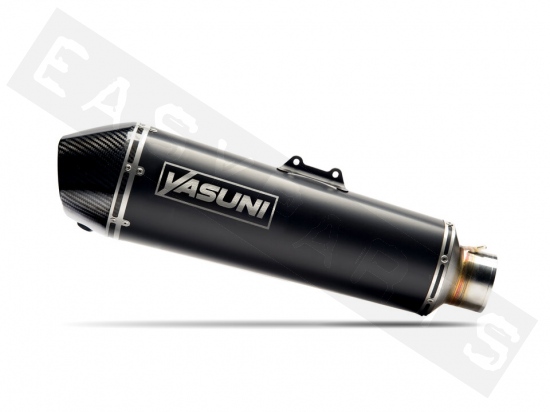 Auspuff YASUNI Scooter Evo 4T Black Carbon K-XCT 125i 2013-2014